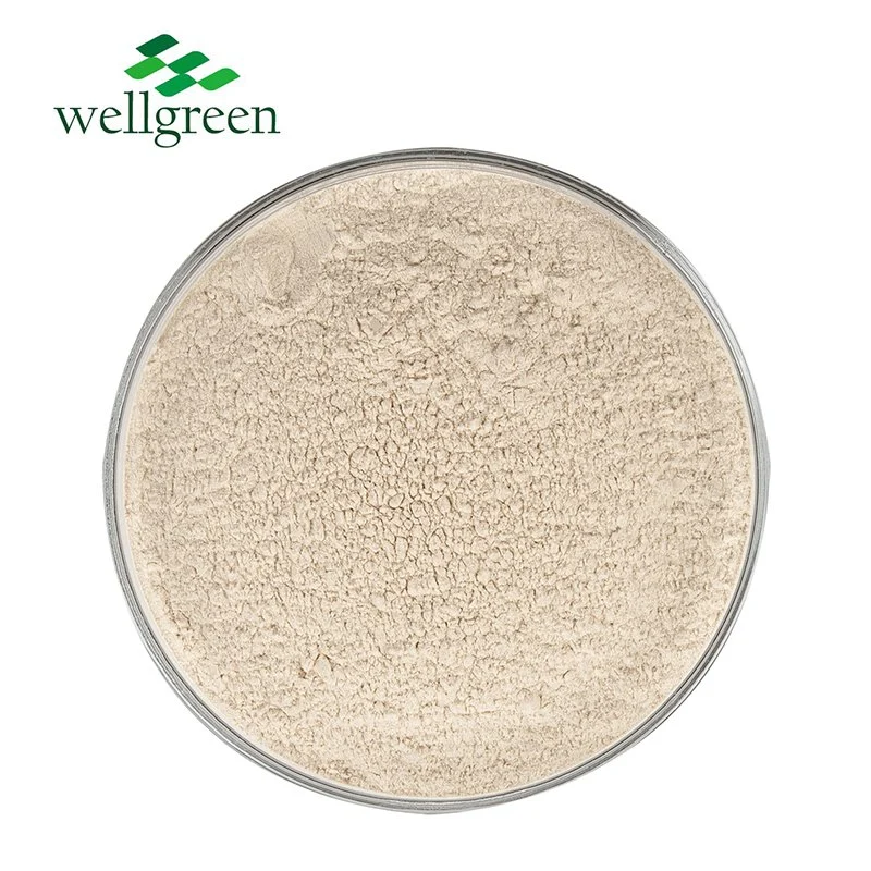 Wellgreen Supply Food Grade Pure Hydrolysis Enzymolysis Oat Powder for Coffee Milk Ice Cream Chocolate