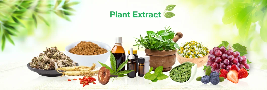 Supply 100% Natural Green Coffee Bean Extract Powder