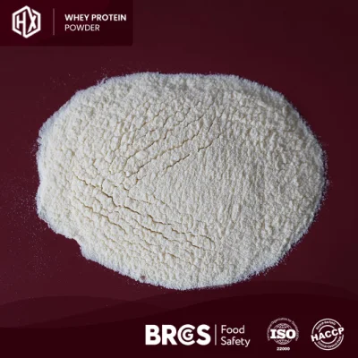 Haoxiang marca doméstica Natural Whey Protein Pó amarelo claro Suplemento dietético em pó Fabricantes China Whey Chocolate Protein Powder para pacientes com anemia