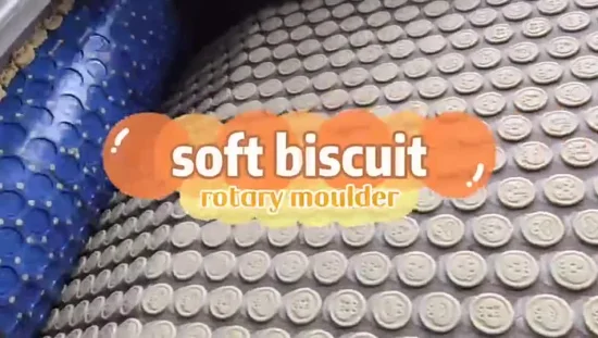 Linha de produção de biscoito animal de dedo totalmente automática de capacidade básica