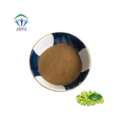 Extrato de Grão de Café Verde 60% Ácido Clorogênico em Pó CAS 327-97-9
