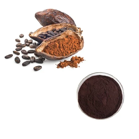 Pó de extrato de semente de cacau de melhor qualidade usado na produção de bolos, sorvetes, biscoitos, chocolate e cacau